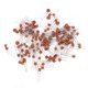 thumbnail image 2 of Condensadores Cerámicos Surtidos, Condensadores Cerámicos Profesionales De 30 Valores Para Electrónica Para Uso Profesional ANGGREK Ceramic Capacitor Assortment, 2 of 8