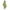 Green, variant on Xfvqtps Mens and Womens Rain Poncho with Hooded Long Reusable Solid Color Adjustable Drawstring Waterproof Hiking Fishing Camping Cycling Outdoor Activities Rain Jackets Raincoat Green