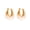 Style 3, variant on Women's C Shaped Stainless Steel Acrylic Resin Hoop Earrings Huggie Statement Ear Studs Style 2