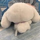 thumbnail image 4 of Plushies Doll Kawaii Cartoon Plush Toy My Melody Pendant Doll Pudding Dog Cinnamoroll Pillow Toy Soft Stuffed 30cm, 4 of 4