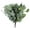 C-with Eucalyptus, variant on HAOSHICS 20pcs Artificial Eucalyptus Leaves Stems with White Seeds Short Silver Dollar Flowers for Decoration Greenery Plants for Flower Arrangement Wedding Bouquets Decor