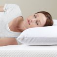 thumbnail image 2 of Modern Sleep Talalay Latex Pillow, Plush, 2 of 2