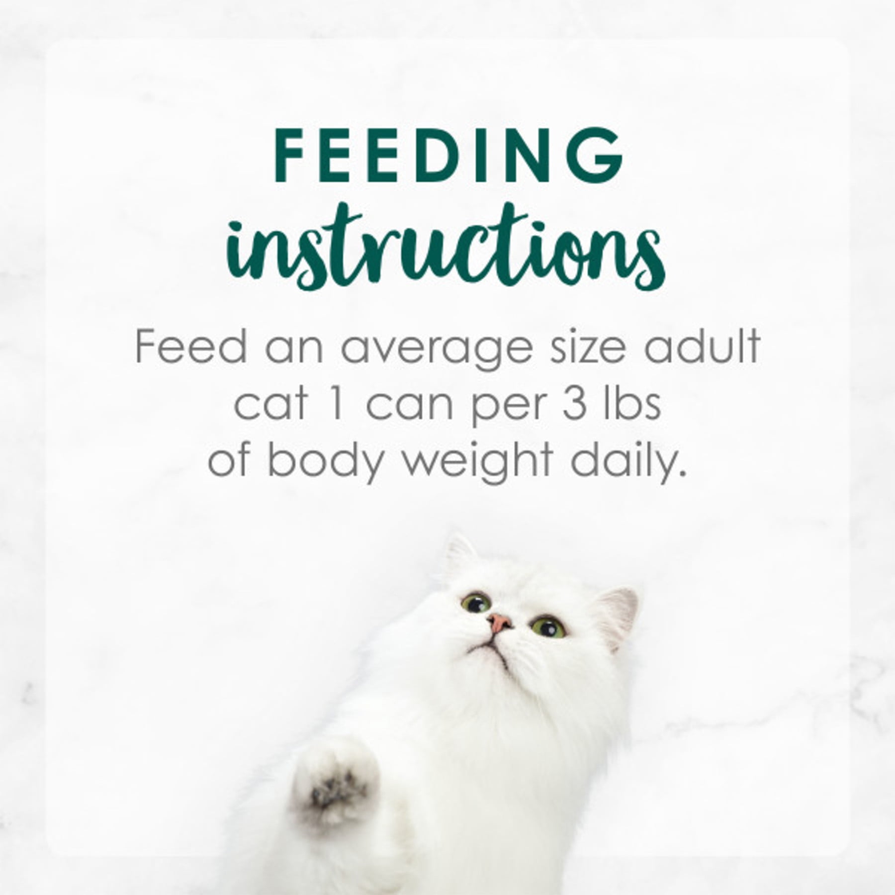 Purina Fancy Feast Medleys Shredded Turkey Fare With Garden Greens, 3 oz. (Pack of 12)