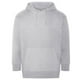 thumbnail image 1 of Ecologie - Sudadera Crater para Adultos Unisex (Gris), 1 of 1