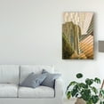 thumbnail image 3 of Trademark Fine Art 'Double Take V' Canvas Art by Greg Perkins, 3 of 4