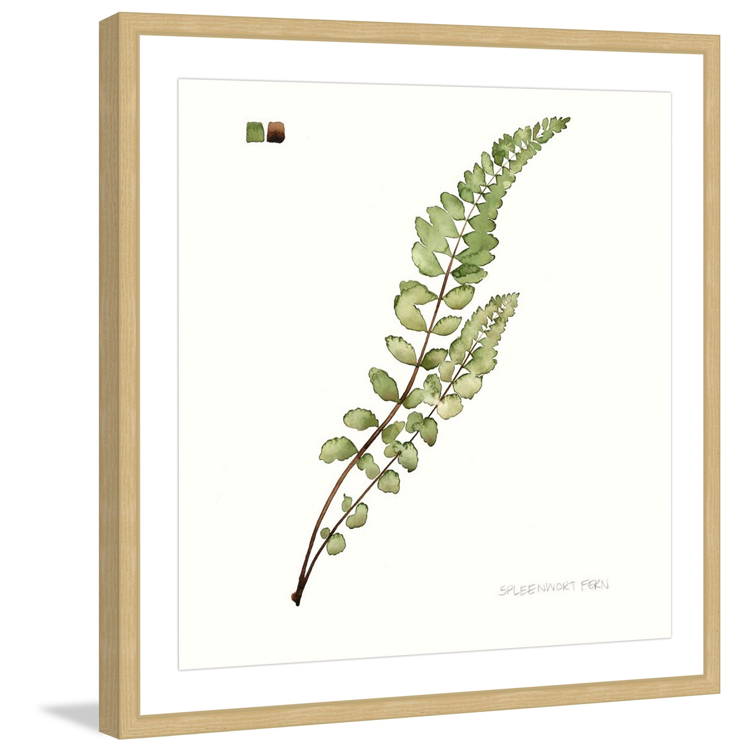 Marmont Hill "Leaf Study I" Framed Painting Print