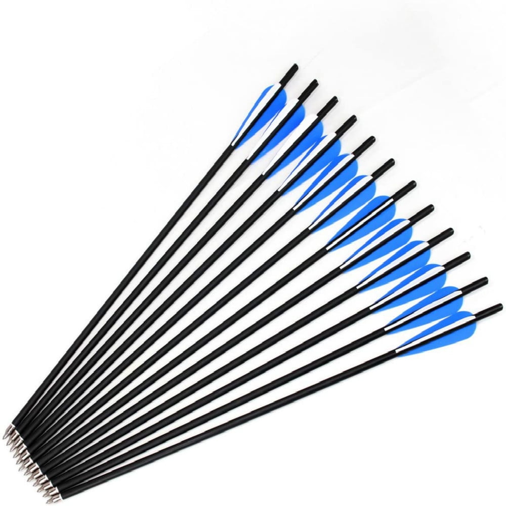 12pcs Archery 31'' Carbon Arrows Screw in Point for Hunting Recurve Compound Bow 
