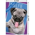 thumbnail image 3 of Keith Kimberlin - Kittens - Pug - Selfie Wall Poster, 14.725" x 22.375", 3 of 3