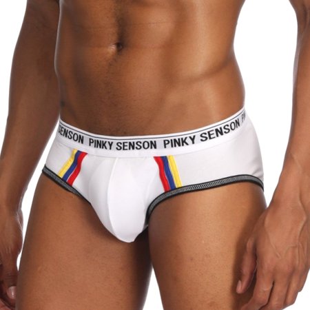 

Men Low Waist Panties Soft Breathable Elastic Skinny Male Underpants Briefs Panties Briefs Accessories Comfortable Men Male Low Waist Soft Breathable Elastic Skinny XL