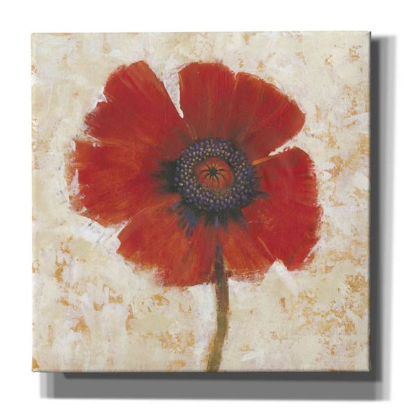 Epic Graffiti 'Red Poppy Portrait I' by Tim O'Toole, Canvas Wall Art, 37"x37"