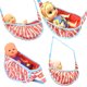 thumbnail image 2 of Bolso de hombro para muñecas de 10 a 14 pulgadas Mochila de verano para muñecas de 32 a 36 cm Accesorios para muñecas de simulación American Girl, 2 of 6