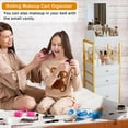 thumbnail image 5 of Makeup Cart Organizer with Mirror, Large Floor Skincare Organizers Make Up Organizers-Vanity Storage Organizer Cosmetic Display Cases Holder for Skin Care Perfume Nail Polish Brush Hair Tool (Gold), 5 of 8