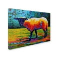 thumbnail image 2 of Trademark Fine Art 'Suffolk Ewe III' Canvas Art by Marion Rose, 2 of 3