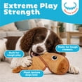 thumbnail image 2 of Outward Hound Xtreme Seamz Dog Toy, Reinforced Seams & Multiple Stitching, Durable Plush with Squeaker, Capybara, 12”, 2 of 4