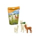 thumbnail image 2 of Schleich Wild Life Alpaca Set Educational Toy Best para niños de 3 a 8 años Schleich Schleich, 2 of 2