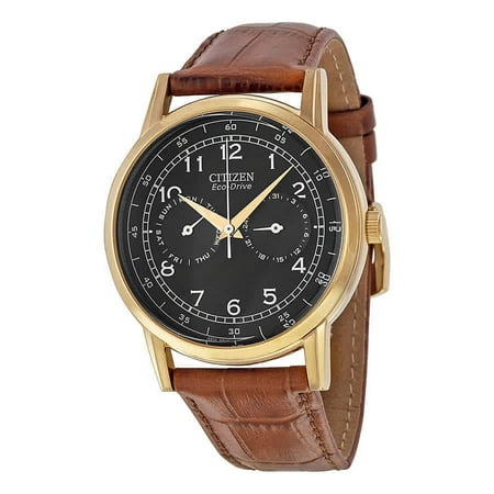 Citizen Men's AO9003-08E Brown Leather Japanese Quartz Dress Watch