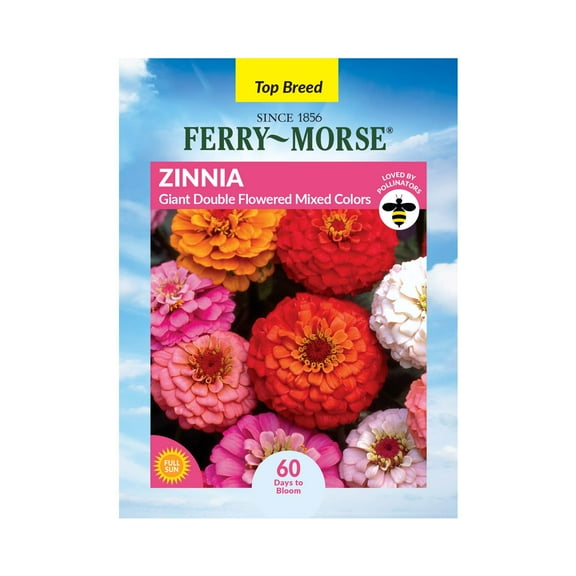 Ferry-Morse 400MG Zinnia Giant Double Flowered Mixed Colors Annual Flower Seeds, Full Sun