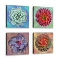 thumbnail image 1 of Set of 4 - Succulent I - Contemporary Fine Art Giclee on Canvas Gallery Wrap - wall décor - Art painting - 24 x 24 Inch - Ready to Hang, 1 of 2
