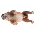 thumbnail image 4 of Perros realistas//animales marinos modelos estatuilla juguetes coleccionables regalo Zulema Juguete de la figura animal, 4 of 8