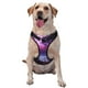 thumbnail image 1 of Balery Purple Moon Tree Night Sky Arnés para Perros Grandes Antitirones, Arnés con Correa para Gato, Arnés Tipo Chaleco para Perros Pequeños-Small, 1 of 6