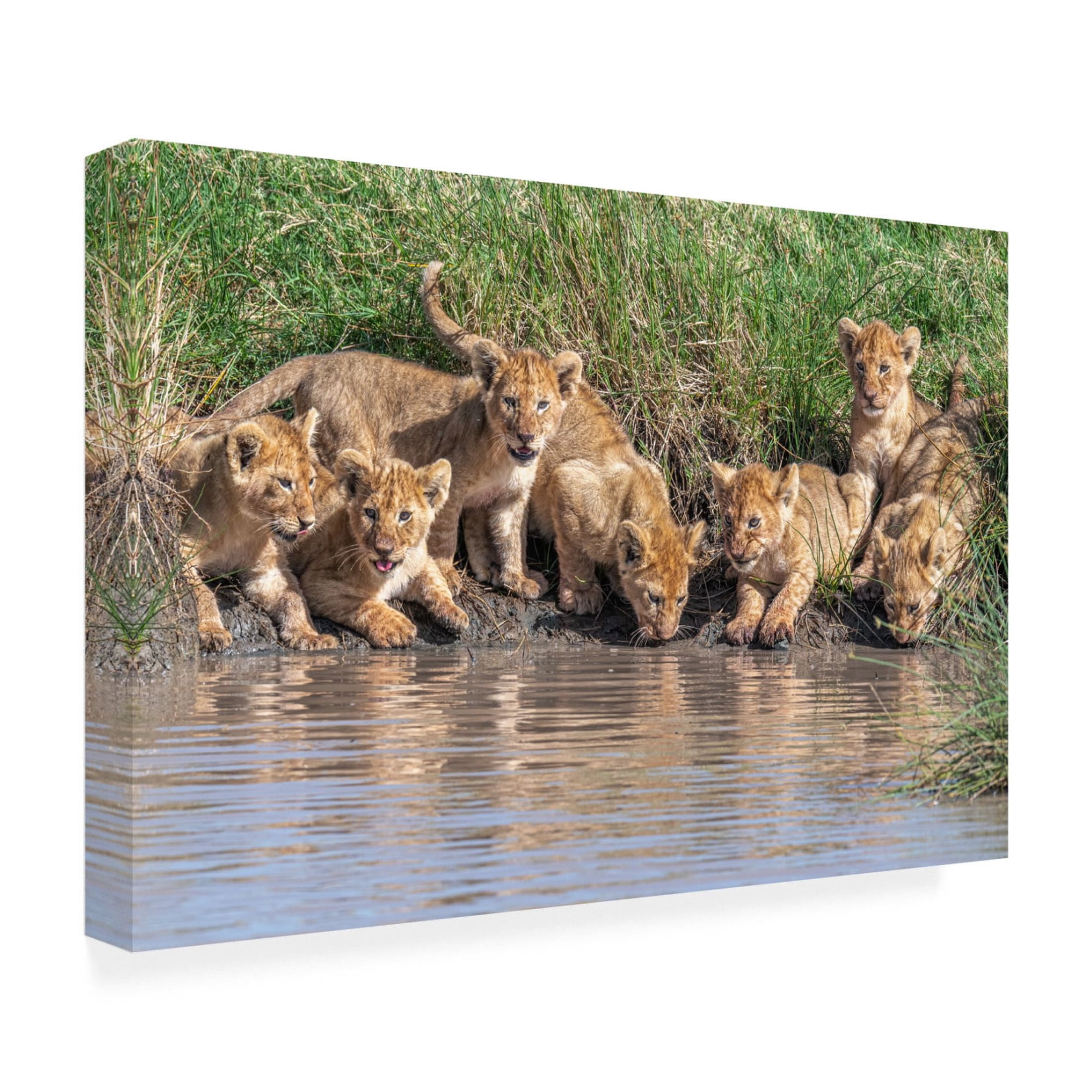 Canvas Wall Art - Jeffrey C. Sink 'Putting The Band Back Together' Wall Art for Living Room, Bedroom, or Office Décor by Trademark Fine Art - 24 x 16 Inches