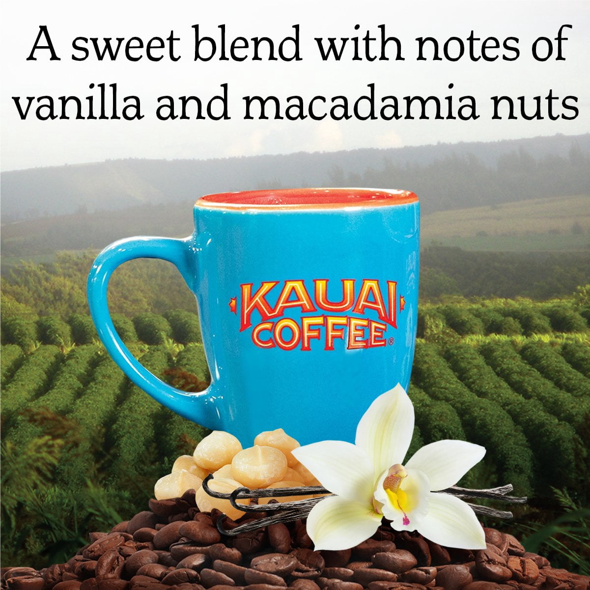 Kauai Coffee Vanilla Macadamia Nut Medium Roast - Compatible with Keurig Pods K-Cup Brewers (6 Packs of 12 Single-Serve Cups)