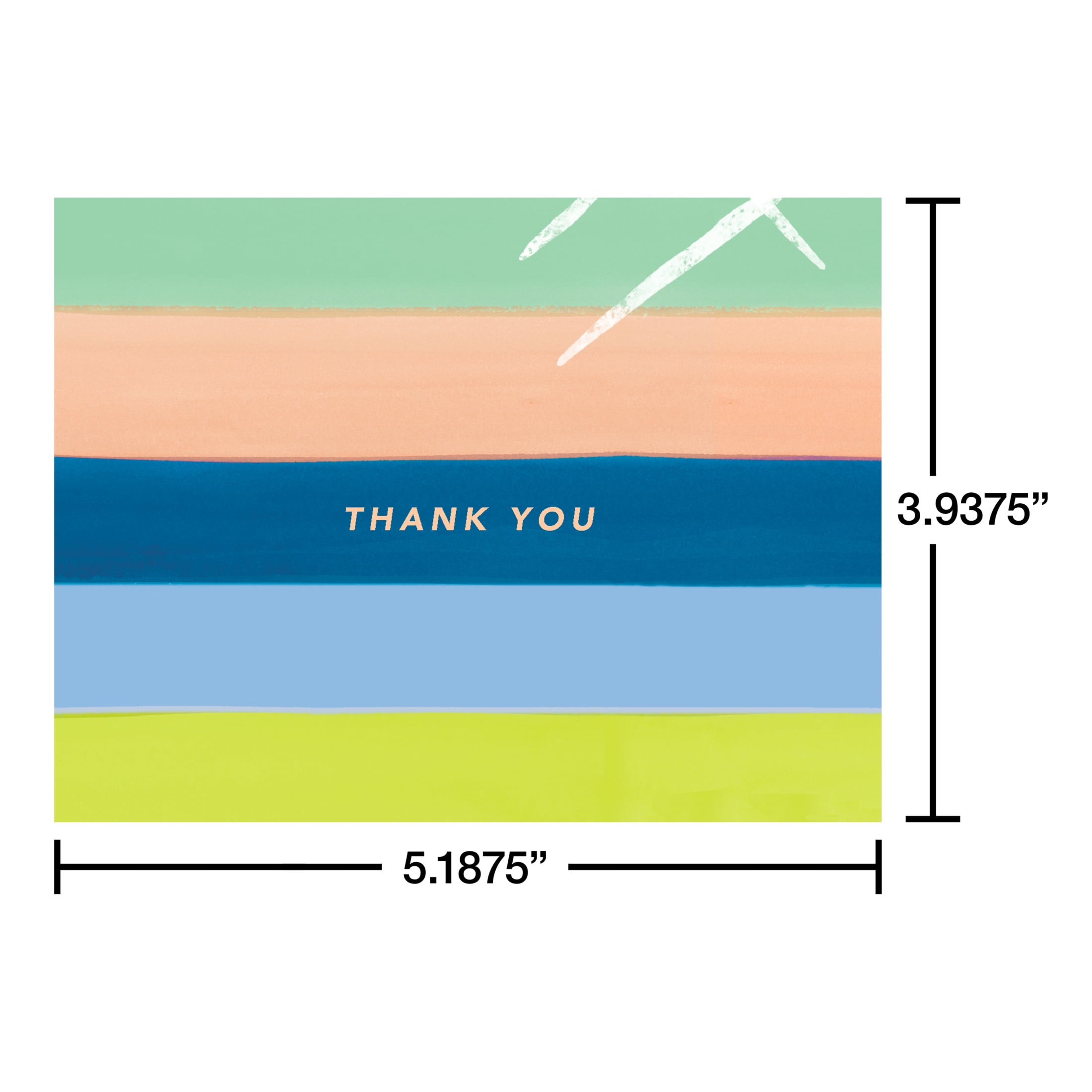 American Greetings Thank You Card Stationery Notes, Stripes (50-Count)
