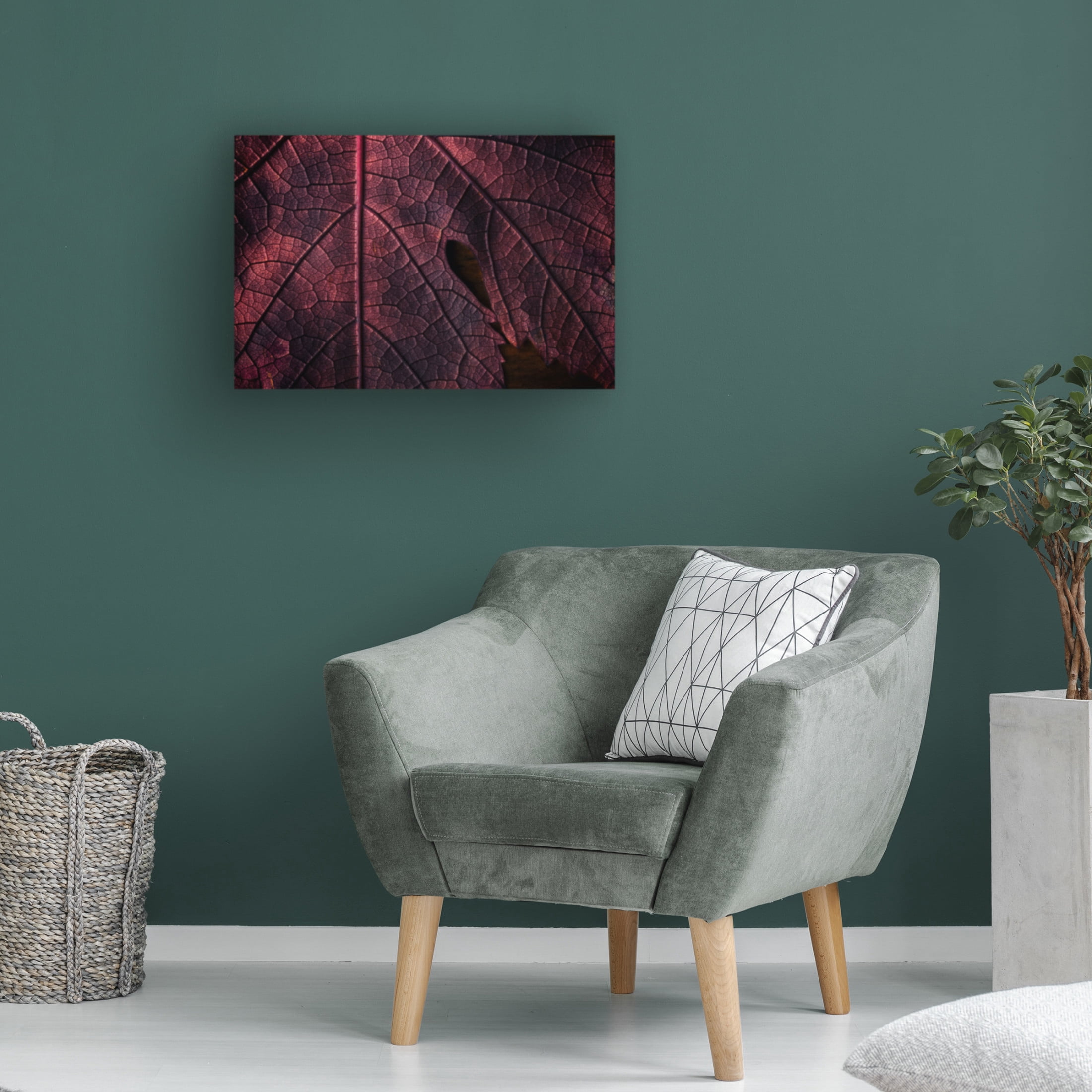 Trademark Fine Art Saleh Swid God Geographic Canvas Wall Art
