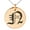 Rose, variant on Stainless Steel Letter N Initial Old English Monogram Engraved Small Medallion Circle Charm Pendant Necklace