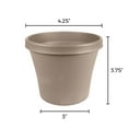 thumbnail image 6 of Bloem 4-in Terra Round Resin Planter - Pebble Stone Beige (Saucer Not Included), 6 of 6