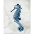 thumbnail image 2 of Allen, Kimberly 15x18 Black Ornate Wood Framed with Double Matting Museum Art Print Titled - Sea Life 1, 2 of 4