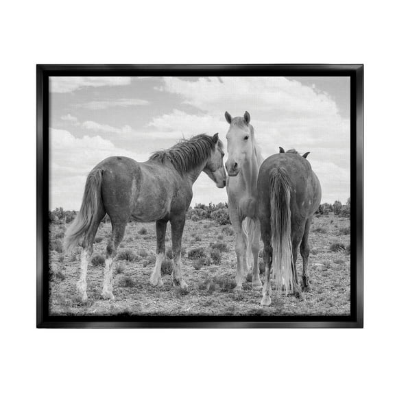 Stupell Industries Horse Trio in Desert Animals & Insects Photography Black Floater Framed Canvas Art Print Wall Art, 21 x 17