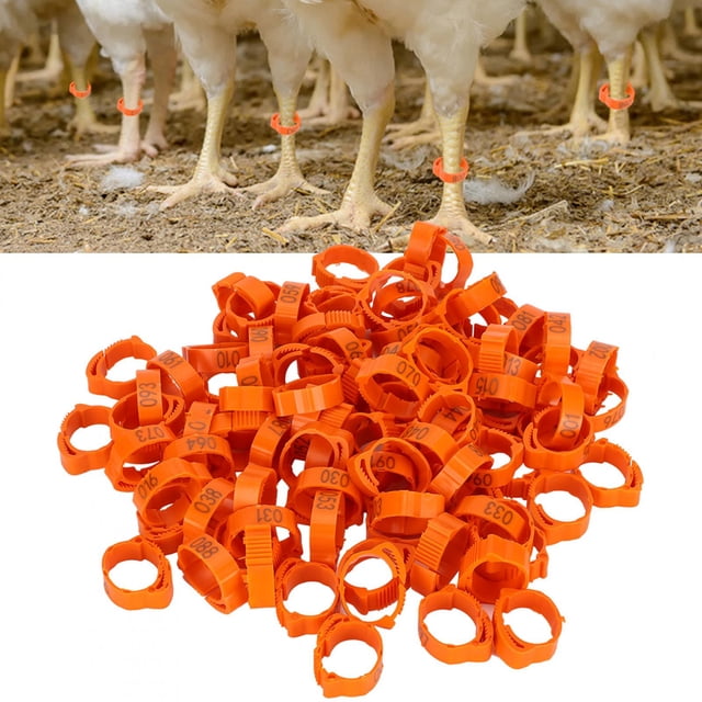 Chicken Foot Ring, Clip 100pcs Poultry Foot Clip, Red Foot Ring For Foot Ring Bird Buckle Chicken
