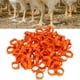 thumbnail image 4 of Anillo de pie de aves de corral anillo de pie de señal Anillo de pie de pájaro de pato de pollo rojo hebilla de pájaro de pollo para anillo de pie ANGGREK Otros, 4 of 8