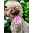 thumbnail image 4 of 1pc Rhinestone & Flower Decor Pet Collar For Dog For Outdoor, 4 of 4