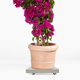 thumbnail image 1 of unbranded Soporte Para Macetas Con Y Antigoteo Beige Para Uso En Y Salón, 1 of 6