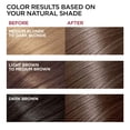 thumbnail image 3 of Chestnut Brown Para Canas 3 in 1 Hair Dye Shampoo - 16.9 Floz, Safe and Natural for Men and Women, 3 of 7