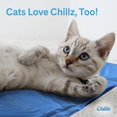 thumbnail image 4 of Hugs Pet Products Chillz Pad Comfort Gel refrescante para mascotas, Azul, XL, 4 of 5
