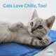 thumbnail image 4 of Hugs Pet Products Chillz Pad Comfort Gel refrescante para mascotas, Azul, XL, 4 of 5