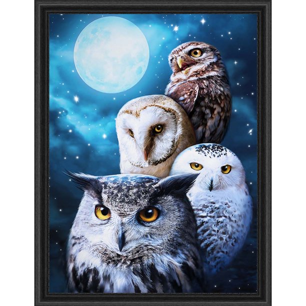 Collection D'Art Night Owls Diamond Painting