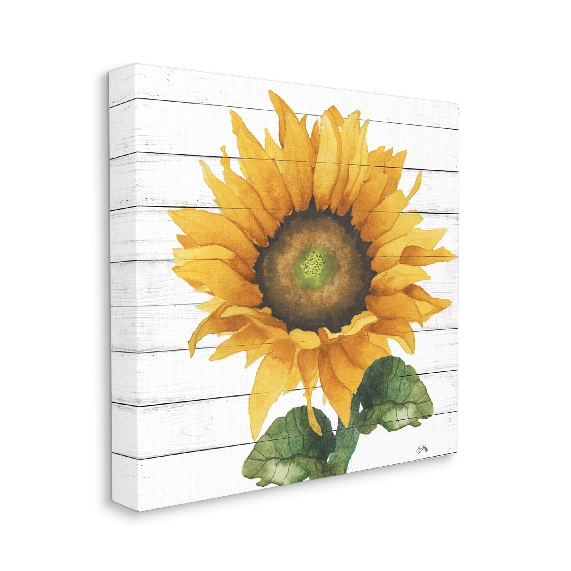 Stupell Industries Yellow Sunflower Blossom Bold Petals Rustic Design Canvas Wall Art, 36 x 36, Design by Elizabeth Medley