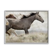Stupell Industries Galloping Horse Herd Photography Animals & Insects Photography Gray Framed Art Print Wall Art