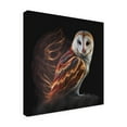 thumbnail image 4 of Canvas Wall Art - The Golden Valley 'Bubo' Wall Art for Living Room, Bedroom, or Office Décor by Trademark Fine Art - 18 x 18 Inches, 4 of 4