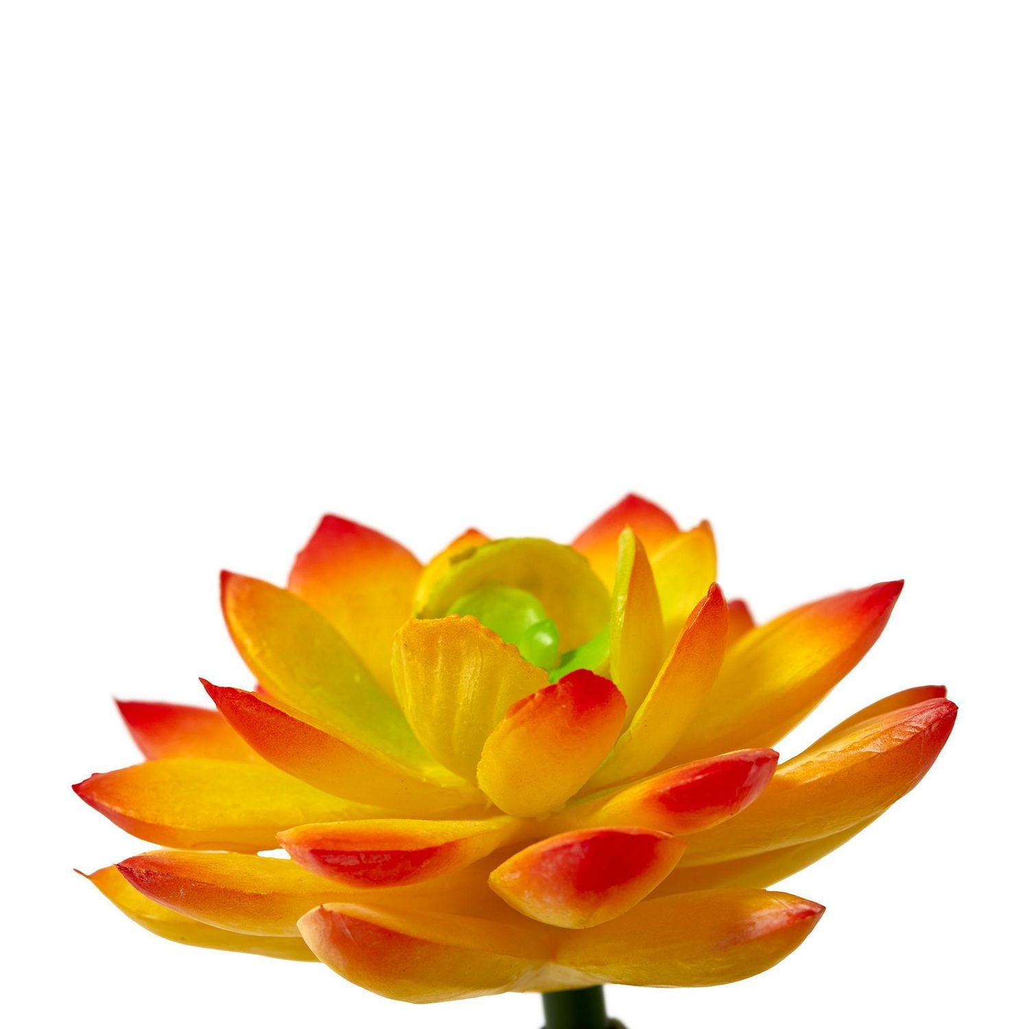 FloraCraft Artificial Succulent Pick 3 Inch x 3.5 Inch Yellow Echeveria