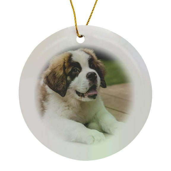 Three Month Old Saint Bernard Puppy Taking A Break From Playtime, Circle Porcelain Ornament