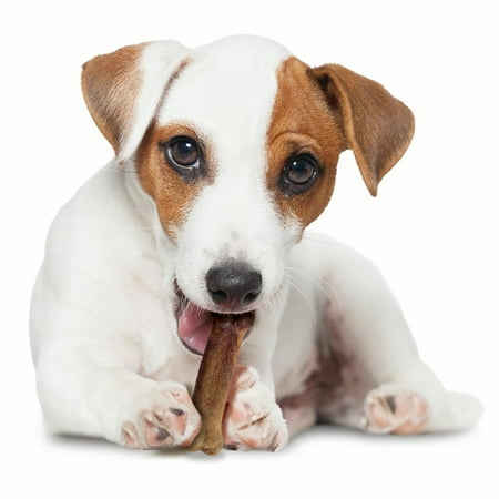 UPC: 0018214807995 | Nylabone Healthy Edibles Natural Bacon Flavored Dog Treat with Regular