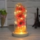 thumbnail image 2 of Flor de luz LED Botella decorativa Lámpara seca Preservada Mujeres Decoración de regalo Funciona con pilas Decoración romántica de la boda en el hogar Rosa roja Rosa roja Speravity HA009077-01B, 2 of 6