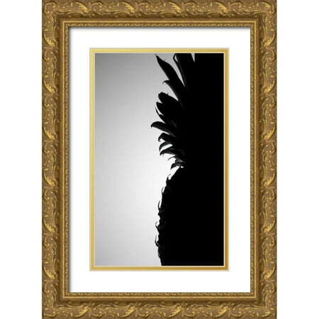 Burkhart Monika 10x14 Gold Ornate Wood Framed with Double Matting Museum Art Print Titled - Pineapple Silhouette