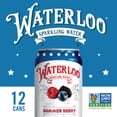 thumbnail image 5 of Waterloo Sparkling Water, Summer Berry, 12 fl oz, 12 Pack Cans, 5 of 7