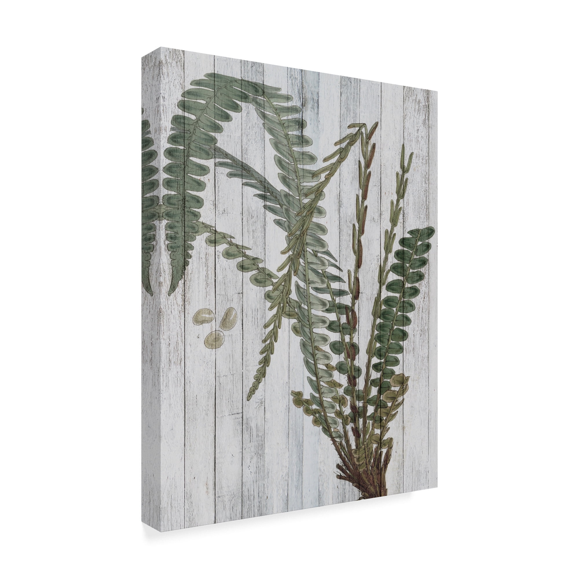 Trademark Fine Art 'Rustic Greenery IV' Canvas Art by Studio W